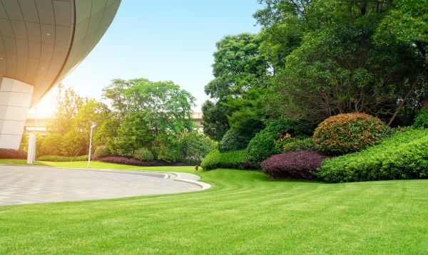 Commercial Shrub Trimming in Thousand Oaks