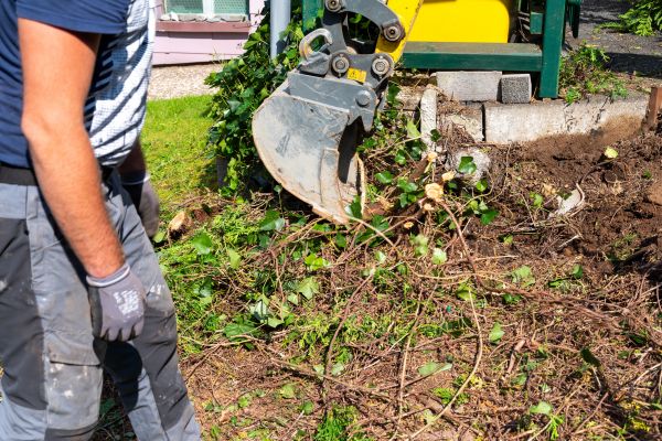 Hedge Removal Service in Thousand Oaks