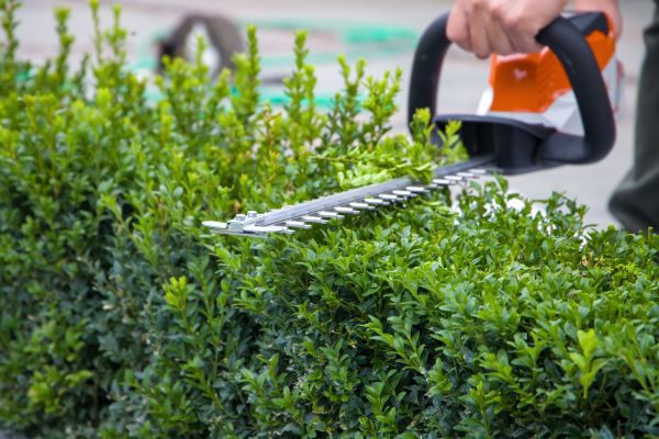 Hedge Shearing in Thousand Oaks