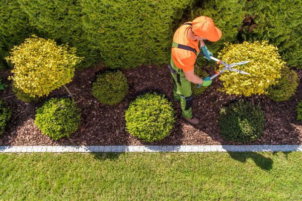 Cost of Topiary Trimming in Thousand Oaks