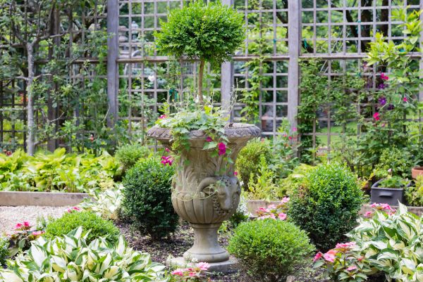 Cost of Topiary Pruning in Thousand Oaks