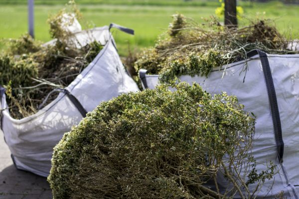 Cost of Shrubs Removal in Thousand Oaks