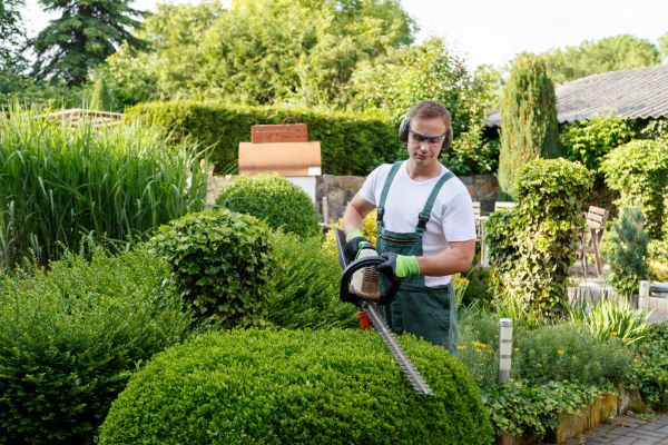 Shrubs Trimming in Thousand Oaks