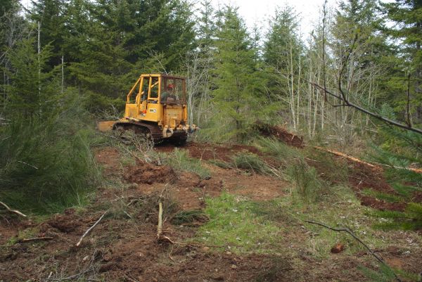Cost of Shrubbery Clearing in Thousand Oaks
