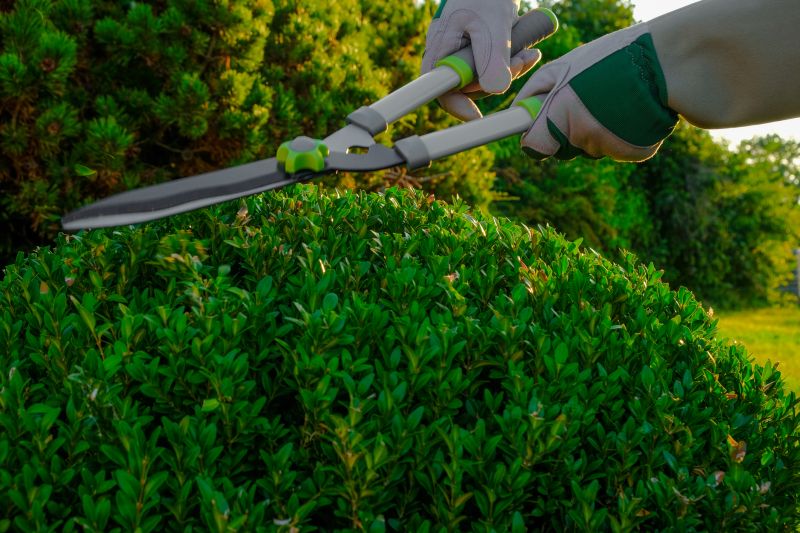Hedge Pruning